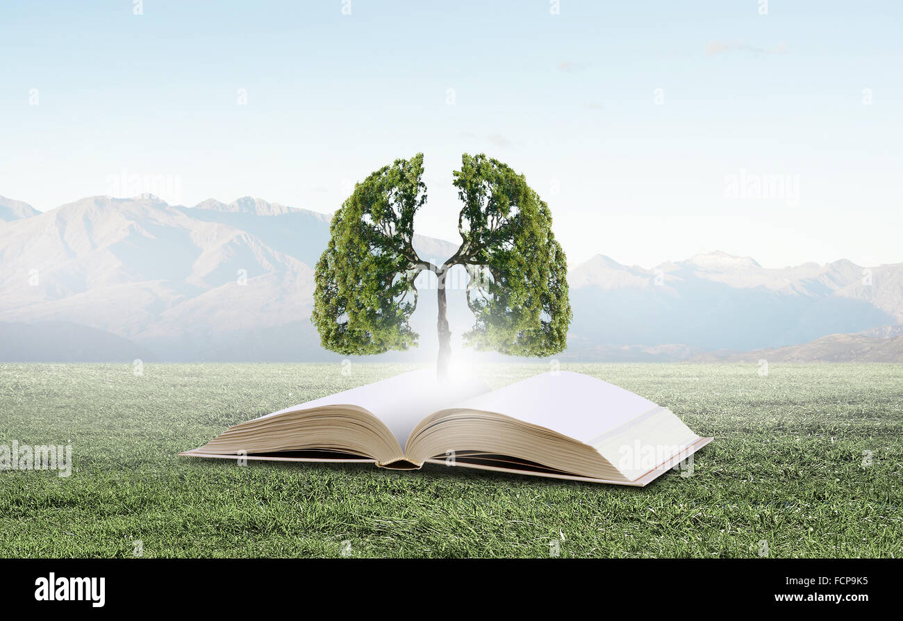 Image conceptuelle avec l'arbre vert de plus en plus d'adresses Banque D'Images