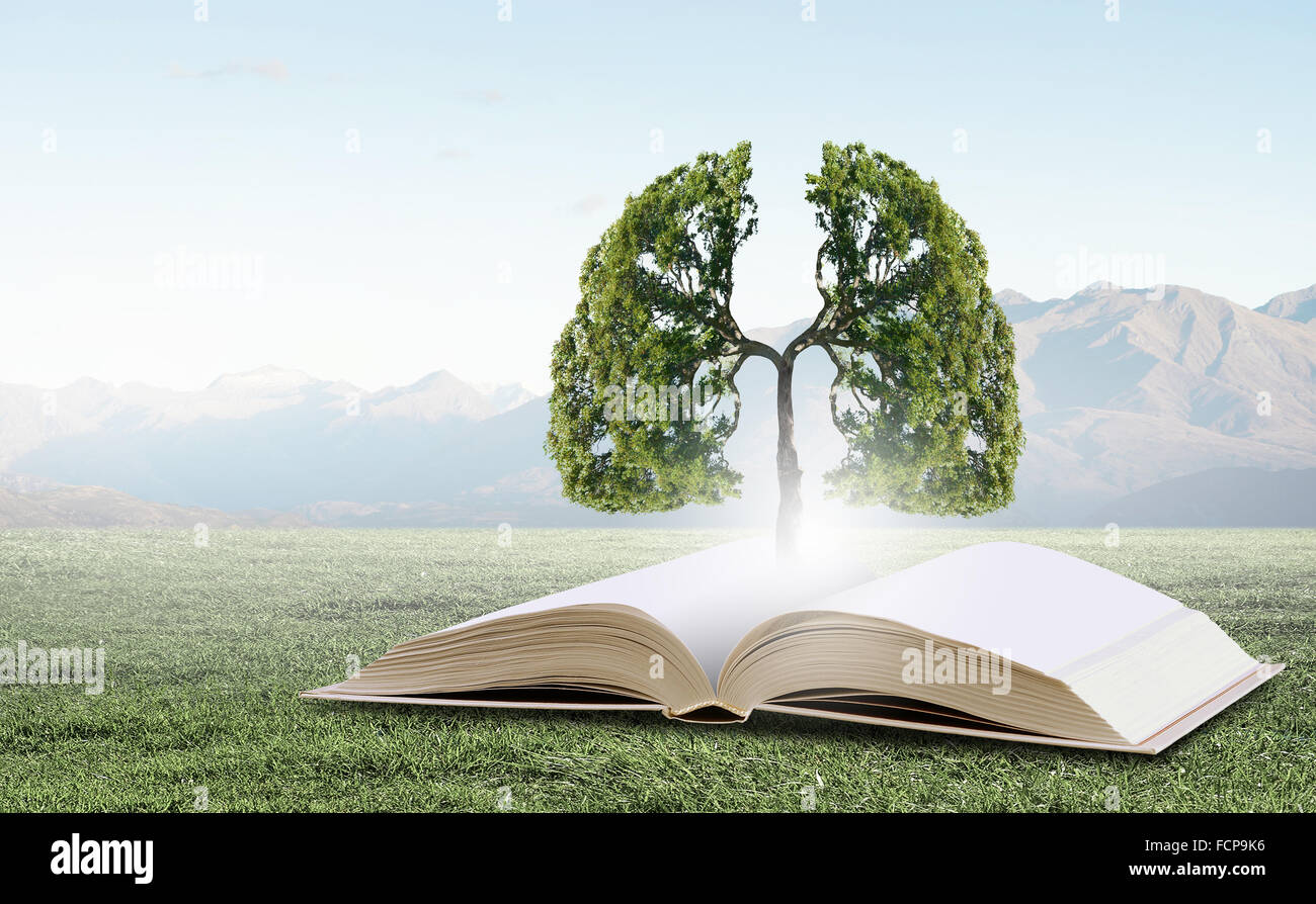 Image conceptuelle avec l'arbre vert de plus en plus d'adresses Banque D'Images