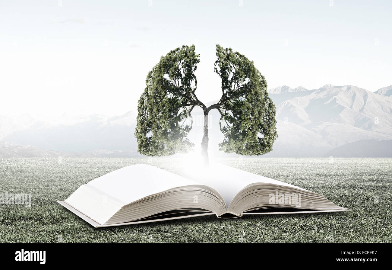 Image conceptuelle avec l'arbre vert de plus en plus d'adresses Banque D'Images