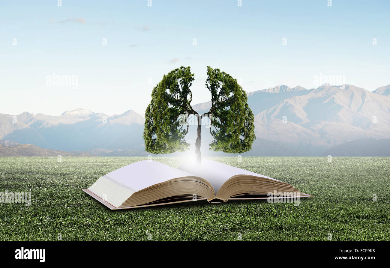 Image conceptuelle avec l'arbre vert de plus en plus d'adresses Banque D'Images