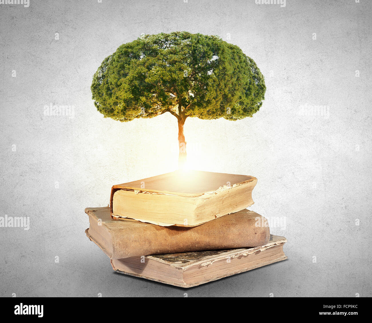 Image conceptuelle avec l'arbre vert de plus en plus d'adresses Banque D'Images