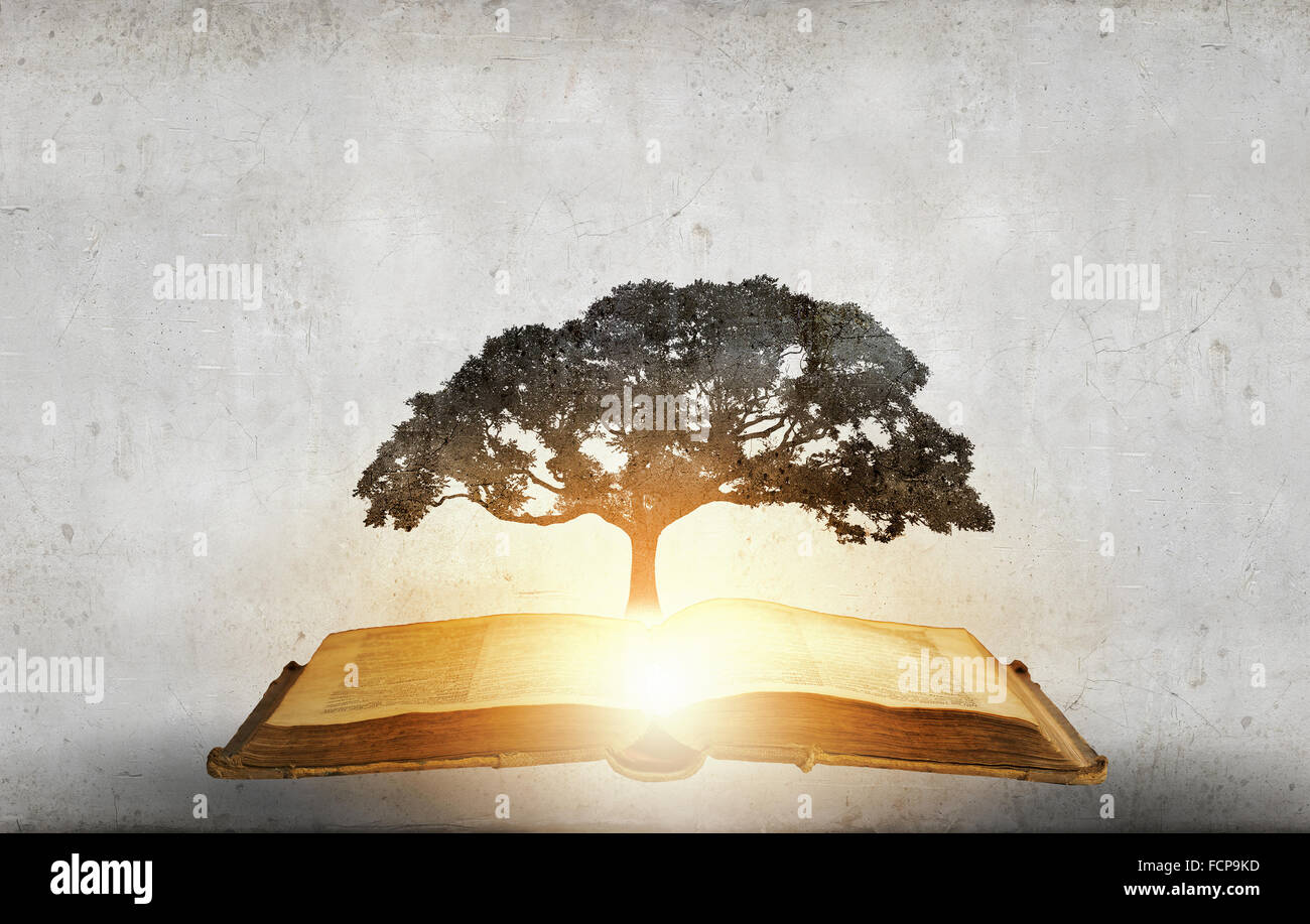 Image conceptuelle avec l'arbre vert de plus en plus d'adresses Banque D'Images