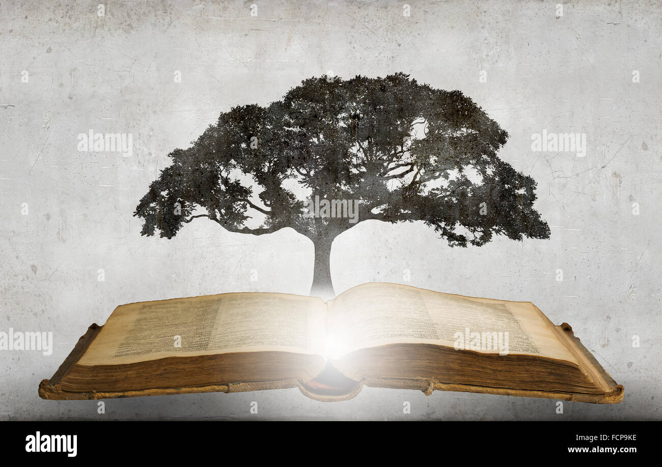 Image conceptuelle avec l'arbre vert de plus en plus d'adresses Banque D'Images