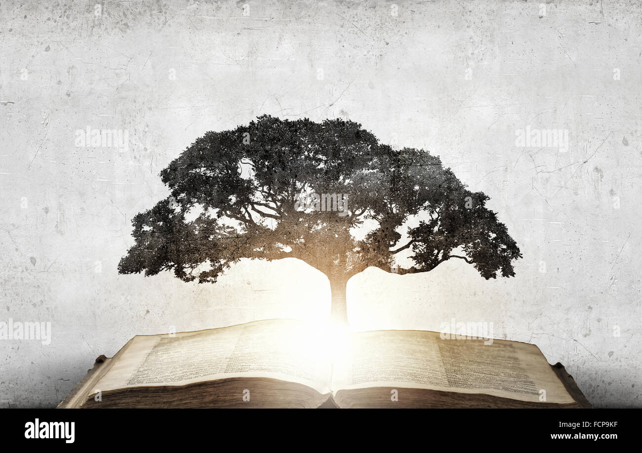 Image conceptuelle avec l'arbre vert de plus en plus d'adresses Banque D'Images