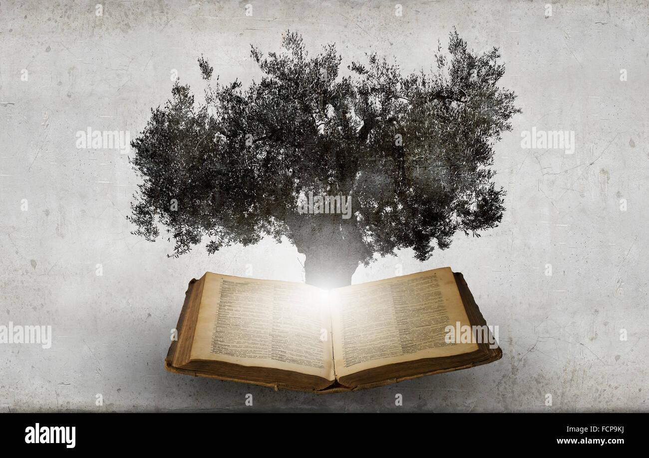 Image conceptuelle avec l'arbre vert de plus en plus d'adresses Banque D'Images