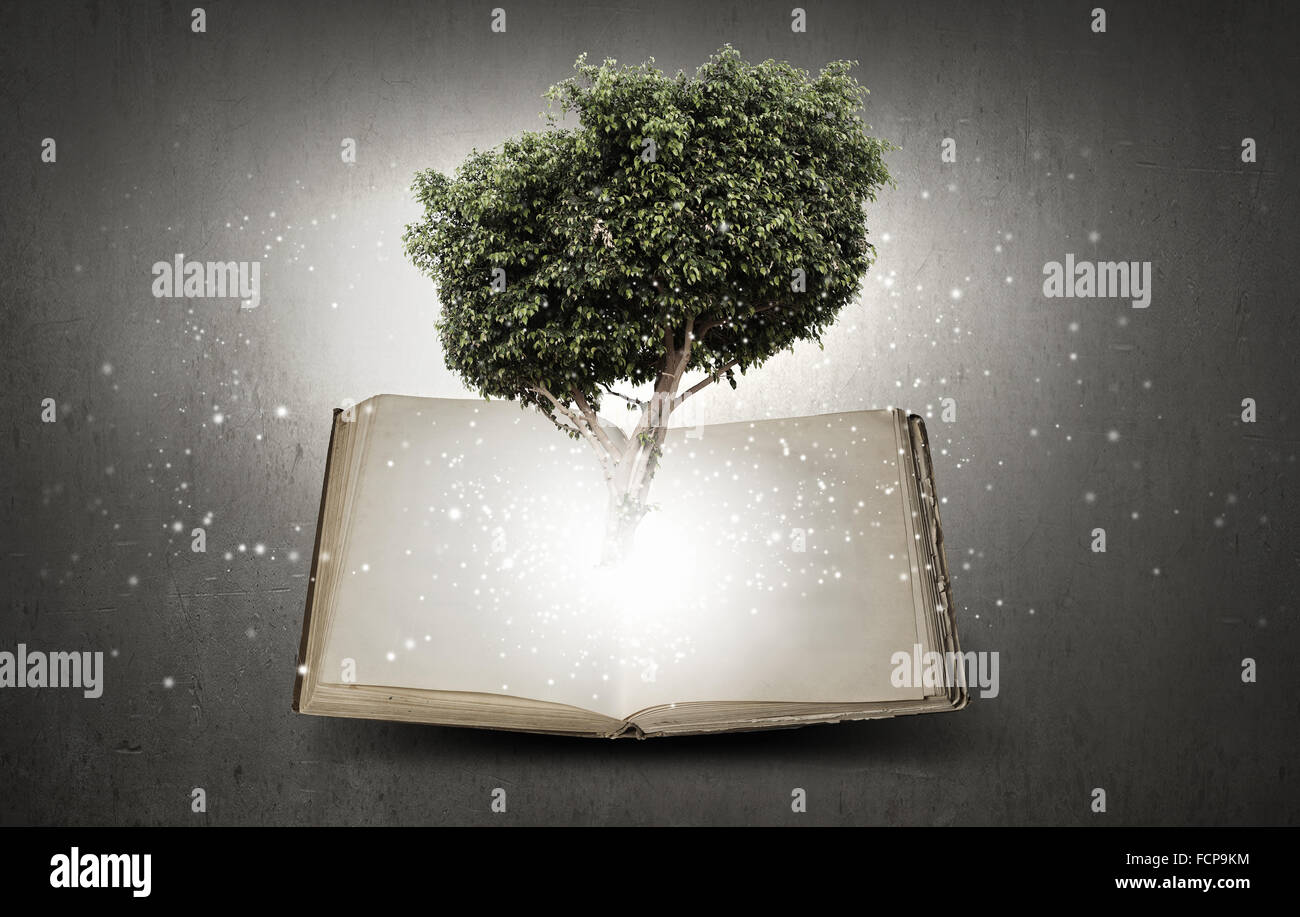 Image conceptuelle avec l'arbre vert de plus en plus d'adresses Banque D'Images