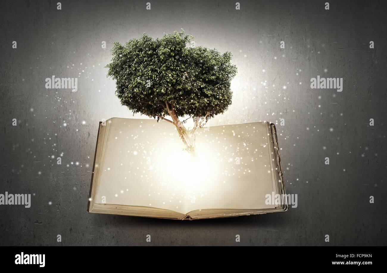 Image conceptuelle avec l'arbre vert de plus en plus d'adresses Banque D'Images