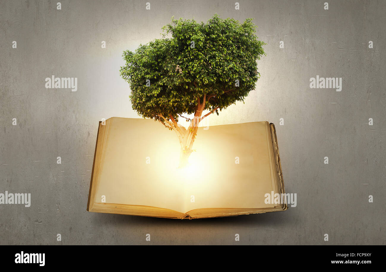 Image conceptuelle avec l'arbre vert de plus en plus d'adresses Banque D'Images