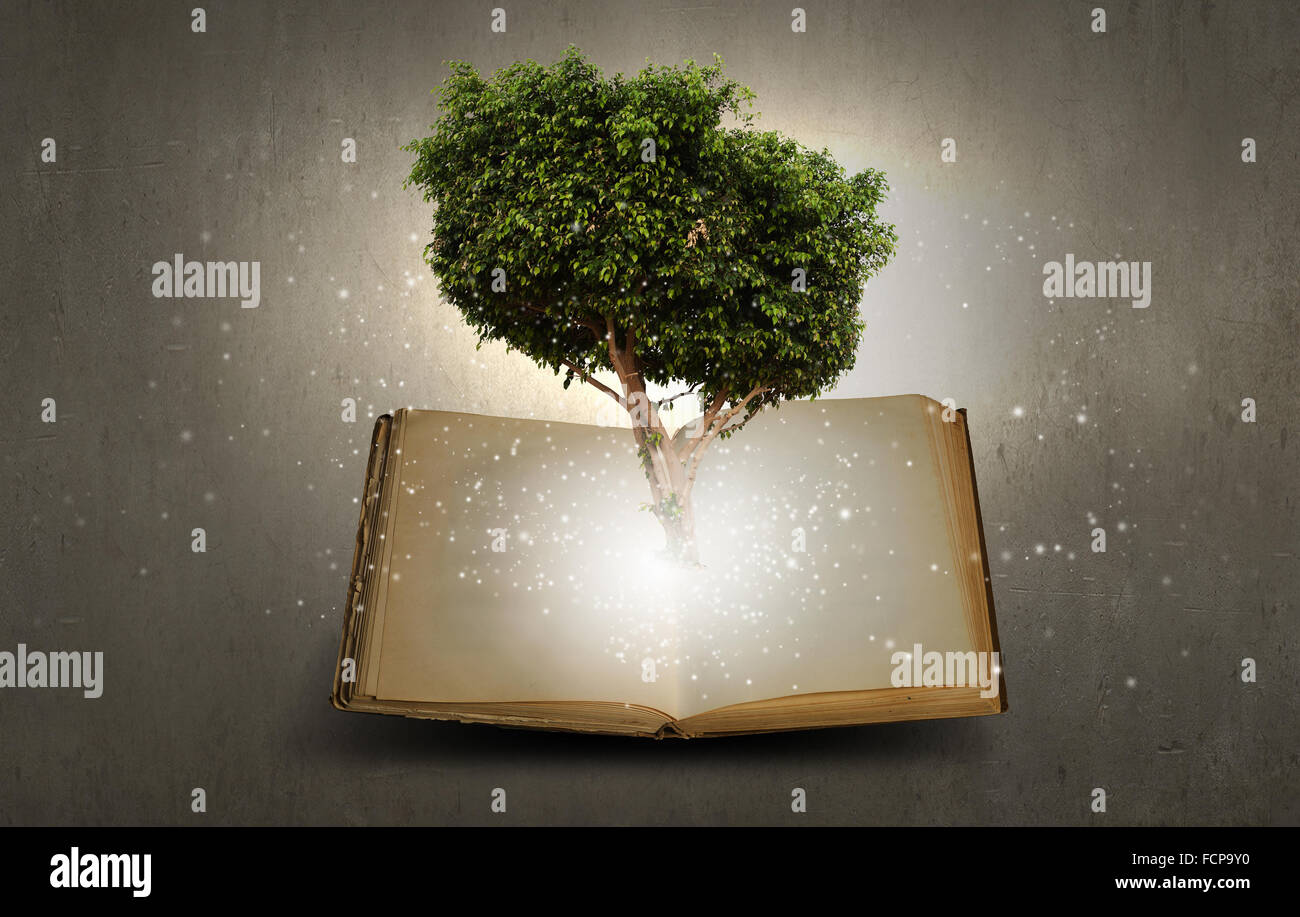 Image conceptuelle avec l'arbre vert de plus en plus d'adresses Banque D'Images