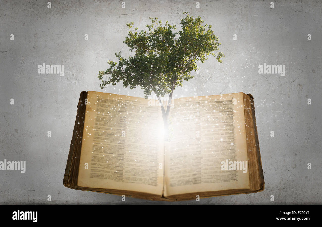 Image conceptuelle avec l'arbre vert de plus en plus d'adresses Banque D'Images