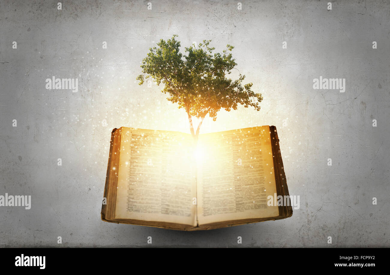 Image conceptuelle avec l'arbre vert de plus en plus d'adresses Banque D'Images