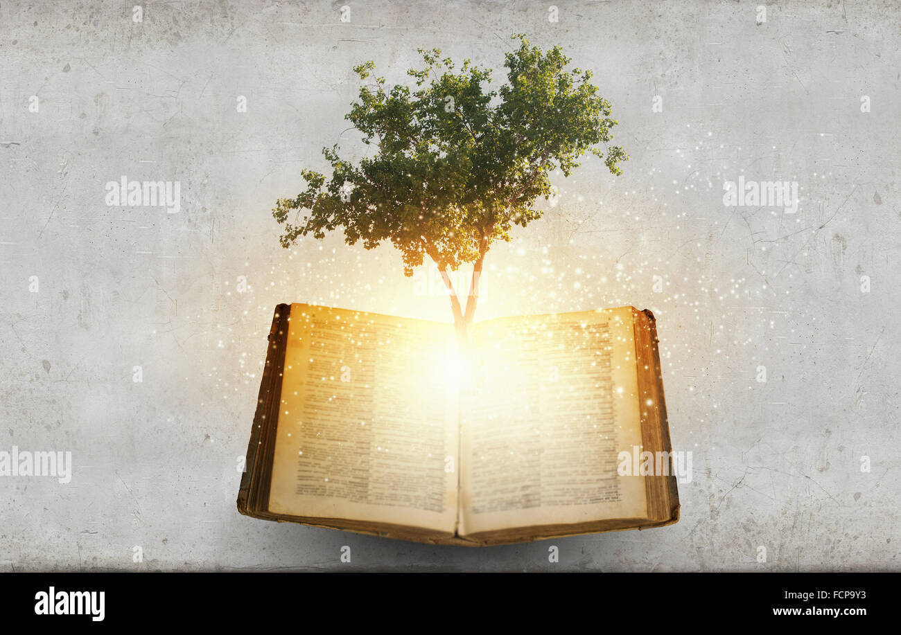 Image conceptuelle avec l'arbre vert de plus en plus d'adresses Banque D'Images