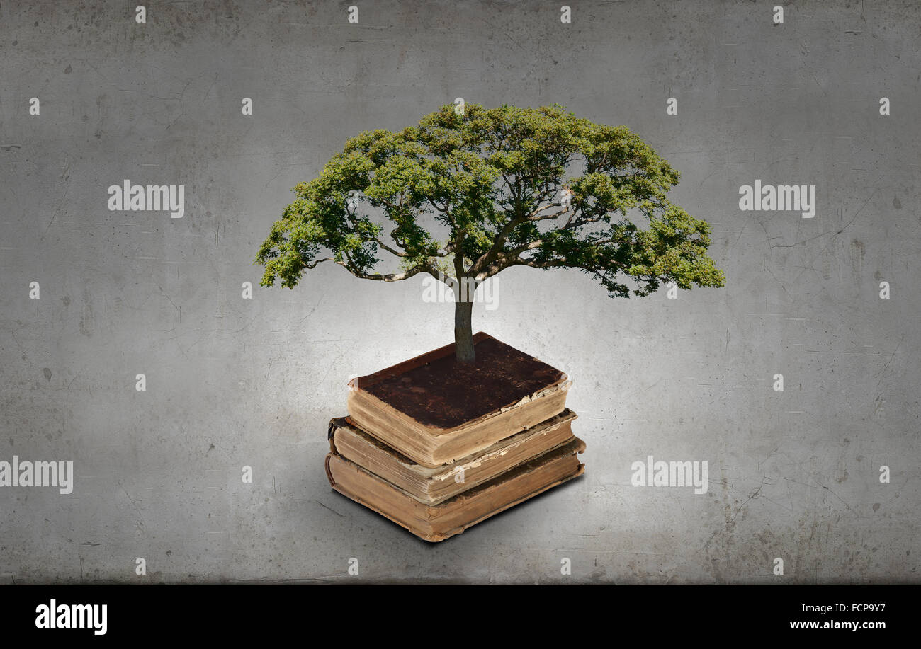 Image conceptuelle avec l'arbre vert de plus en plus d'adresses Banque D'Images