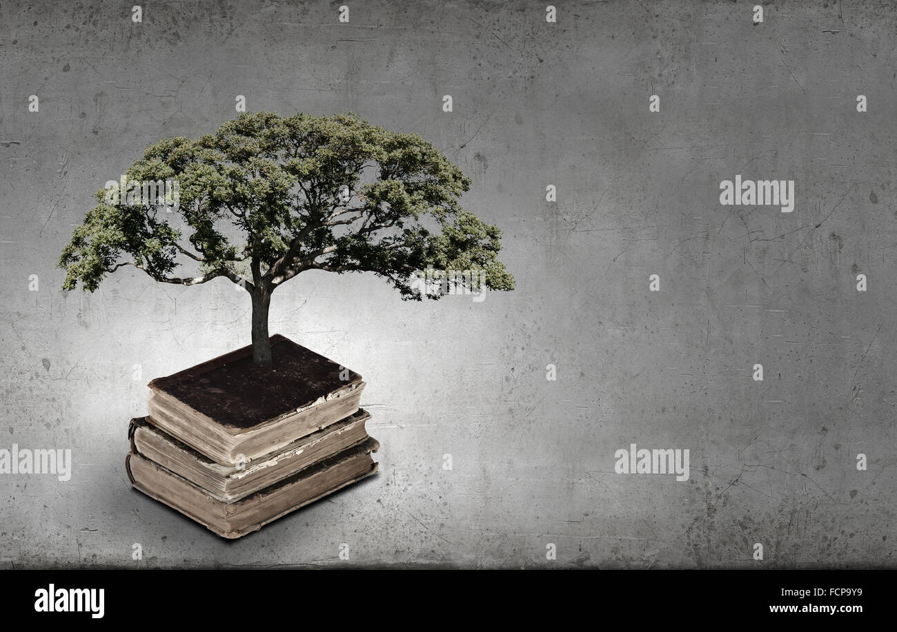 Image conceptuelle avec l'arbre vert de plus en plus d'adresses Banque D'Images