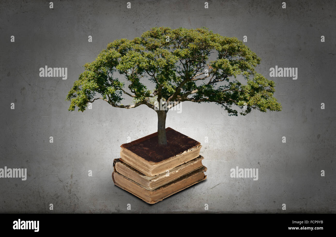 Image conceptuelle avec l'arbre vert de plus en plus d'adresses Banque D'Images