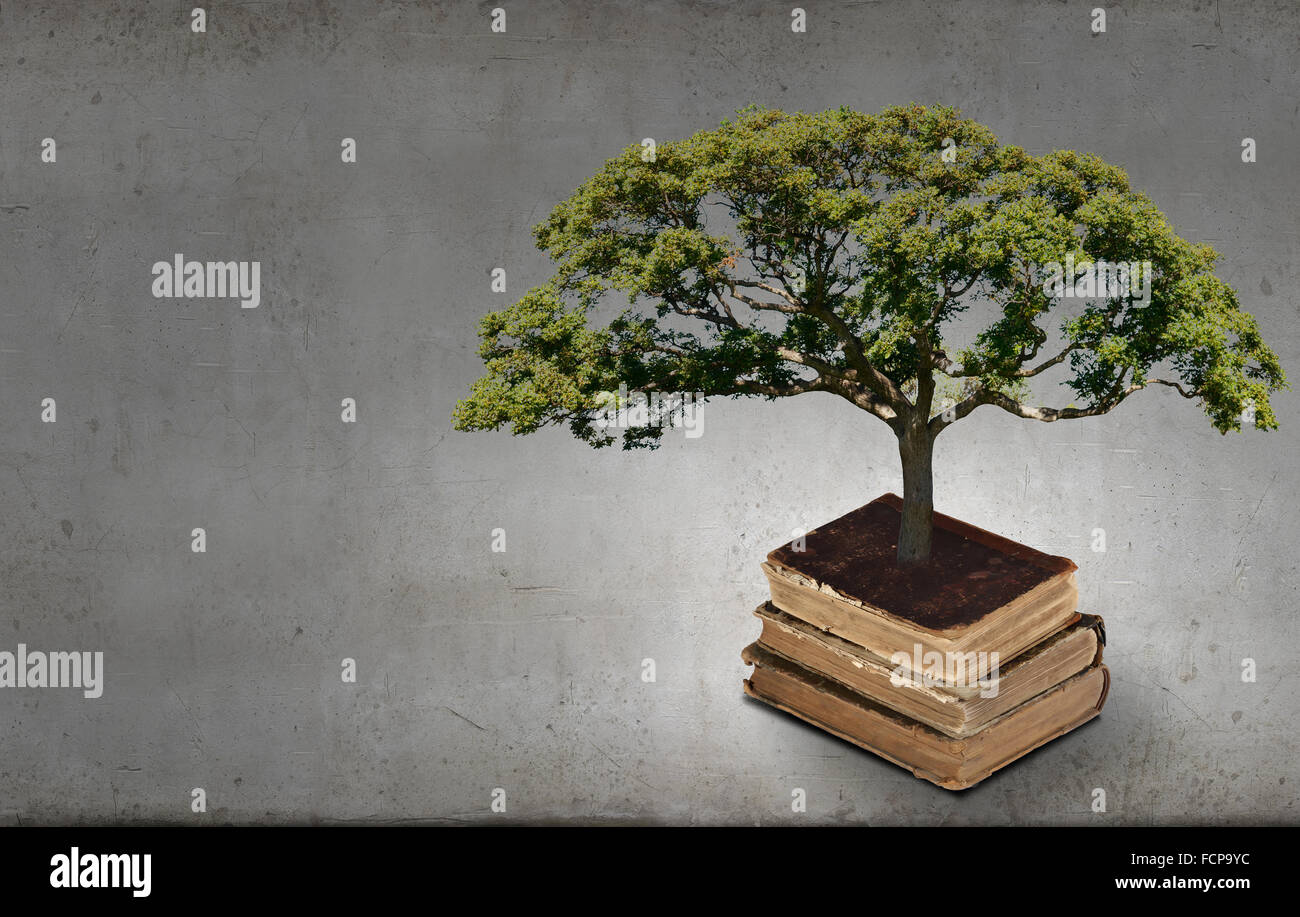 Image conceptuelle avec l'arbre vert de plus en plus d'adresses Banque D'Images