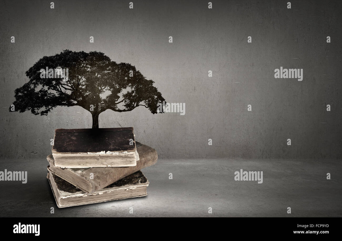 Image conceptuelle avec l'arbre vert de plus en plus d'adresses Banque D'Images