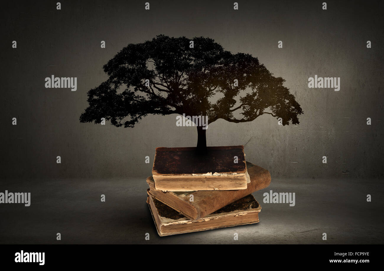 Image conceptuelle avec l'arbre vert de plus en plus d'adresses Banque D'Images