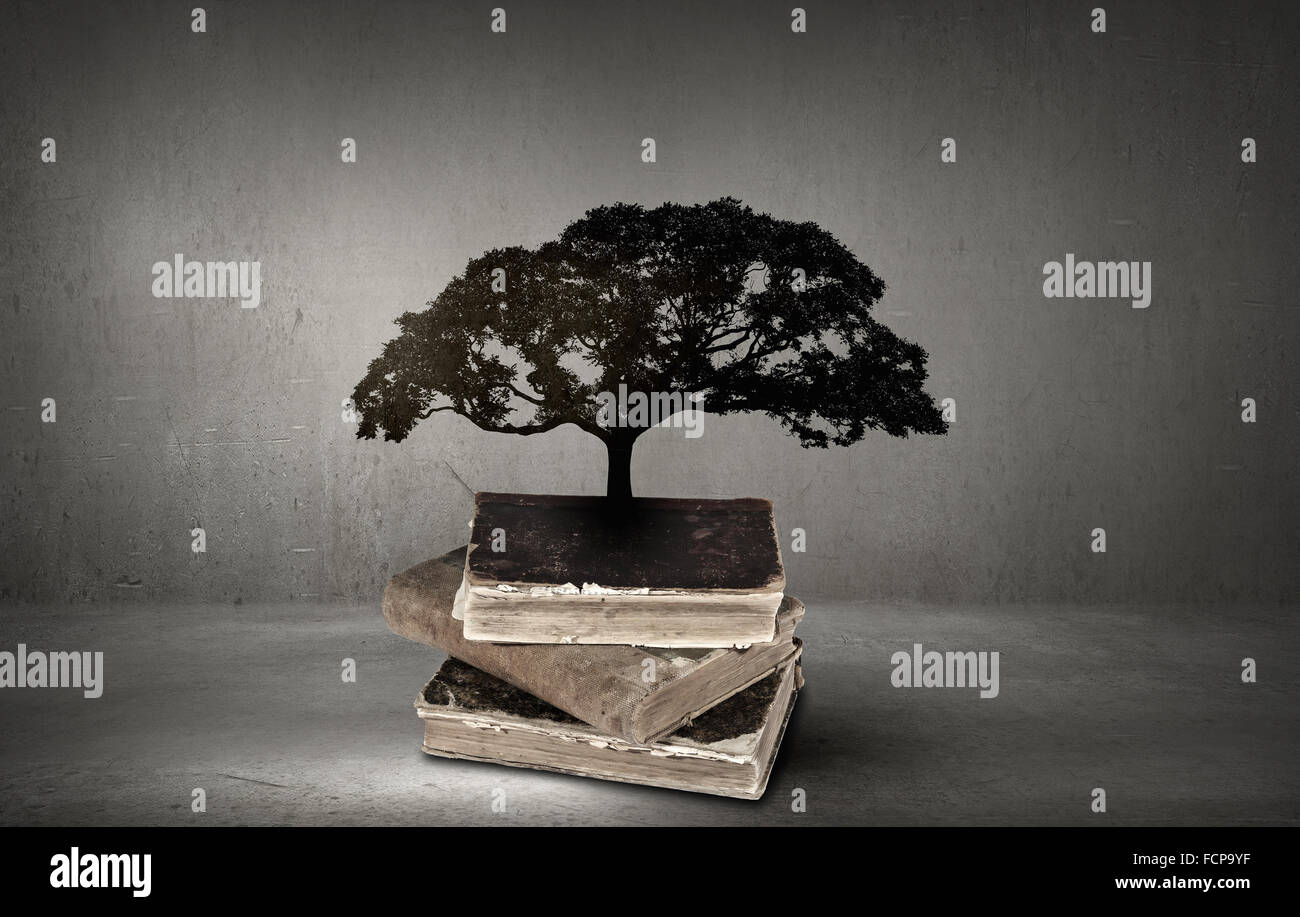 Image conceptuelle avec l'arbre vert de plus en plus d'adresses Banque D'Images