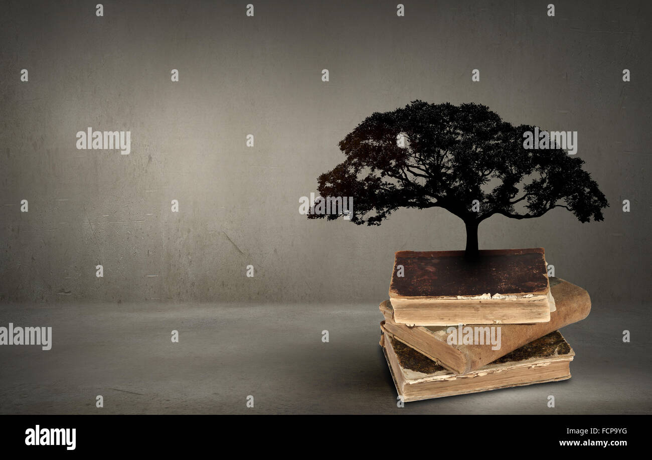 Image conceptuelle avec l'arbre vert de plus en plus d'adresses Banque D'Images