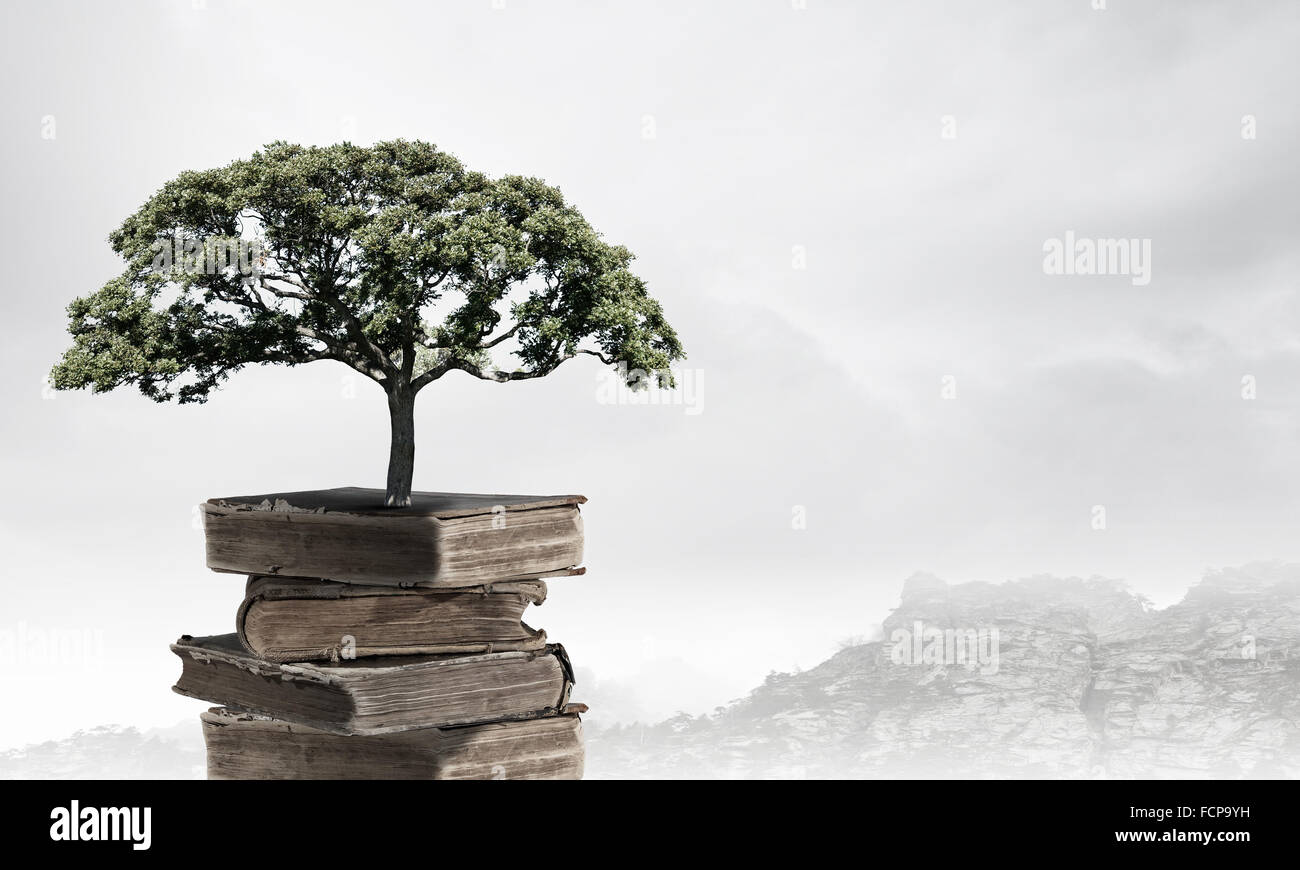 Image conceptuelle avec l'arbre vert de plus en plus d'adresses Banque D'Images