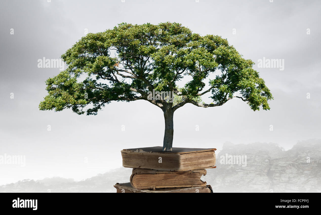 Image conceptuelle avec l'arbre vert de plus en plus d'adresses Banque D'Images