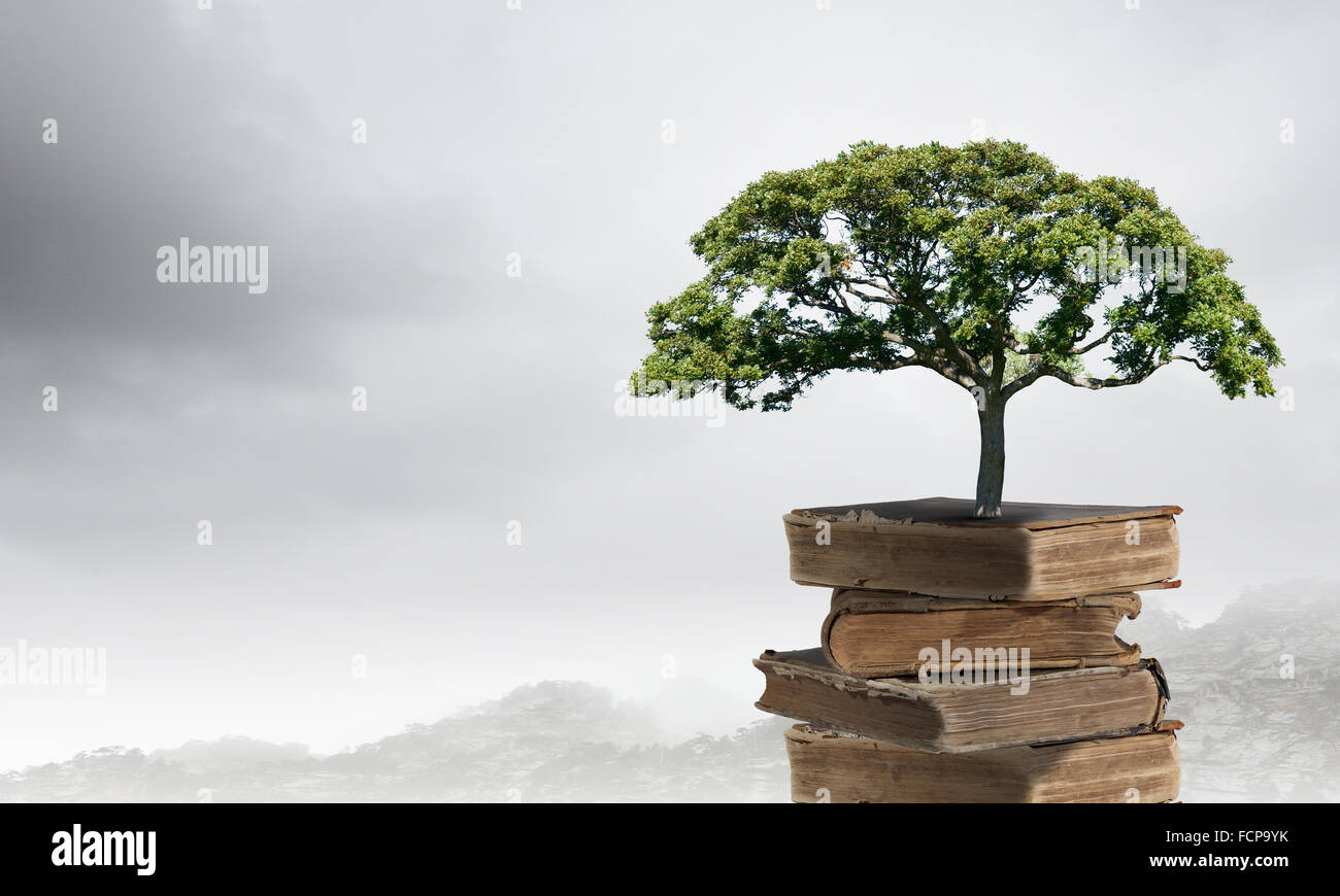 Image conceptuelle avec l'arbre vert de plus en plus d'adresses Banque D'Images