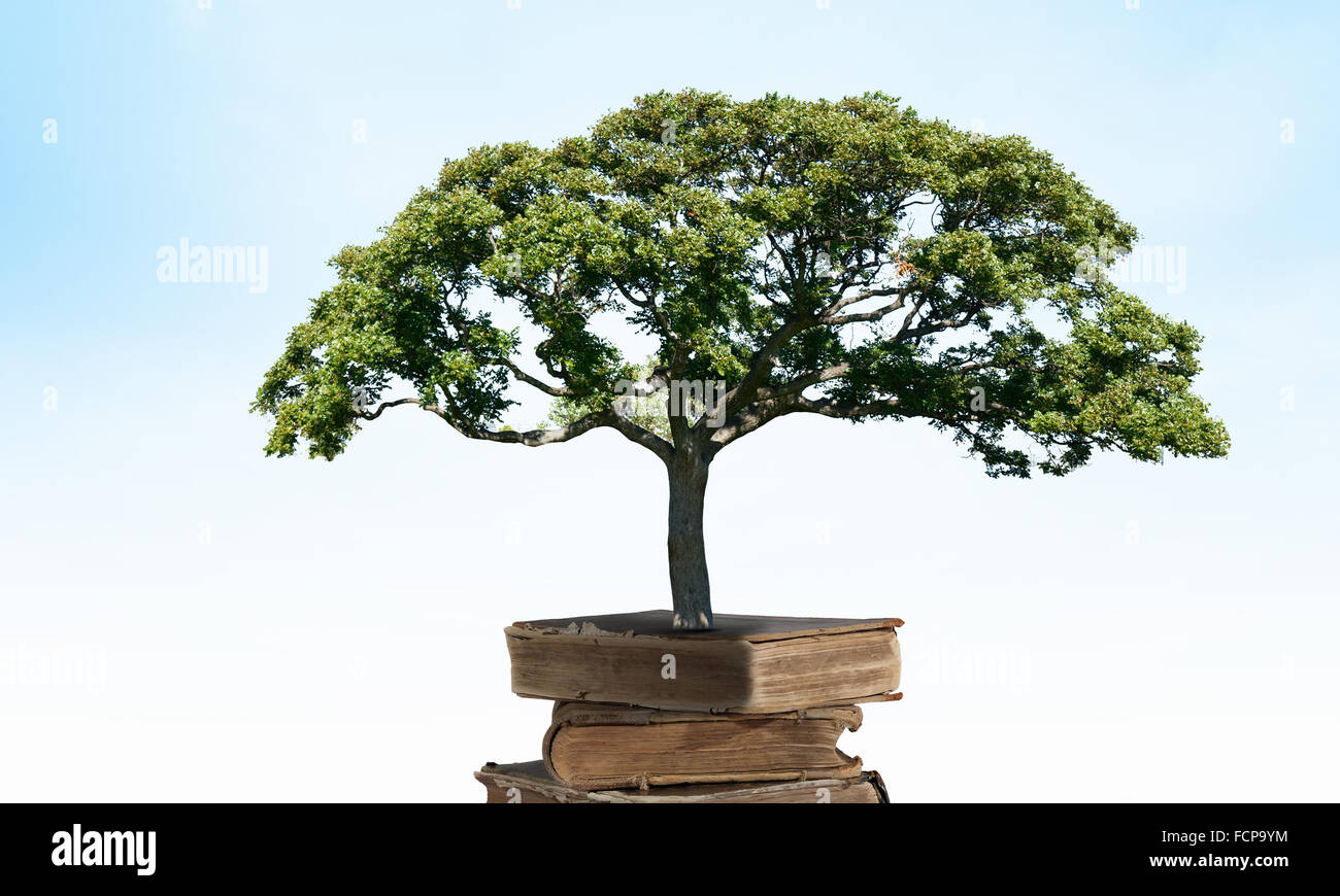 Image conceptuelle avec l'arbre vert de plus en plus d'adresses Banque D'Images