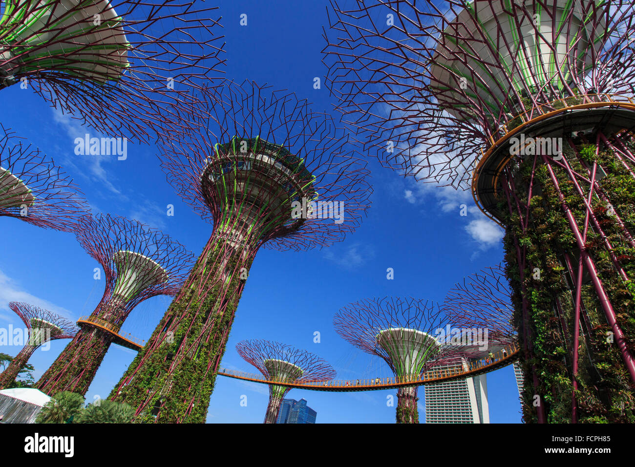 Super arbres et une passerelle dans les jardins de la baie, à Singapour Banque D'Images