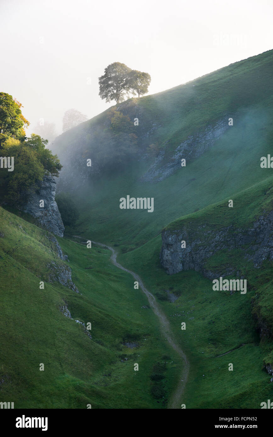 Un matin d'automne brumeux dans Cavedale Castleton, dans le parc national de Peak District. Banque D'Images