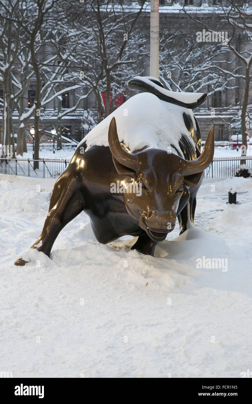 24 janvier 2016 - New York, New York, USA - Wall Street Bull charge sculpture après Tempête Jonas, Bowling Green, New York City, le 24 janvier 2016. (Crédit Image : © Beowulf Sheehan/Zuma sur le fil) Banque D'Images