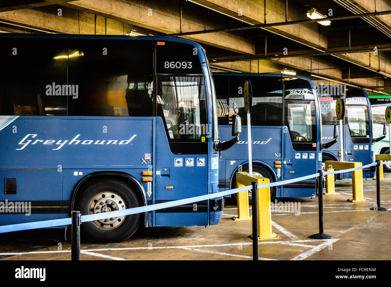 Les bus Greyhound au terminus d'autobus de la gare Union, Washington DC Banque D'Images