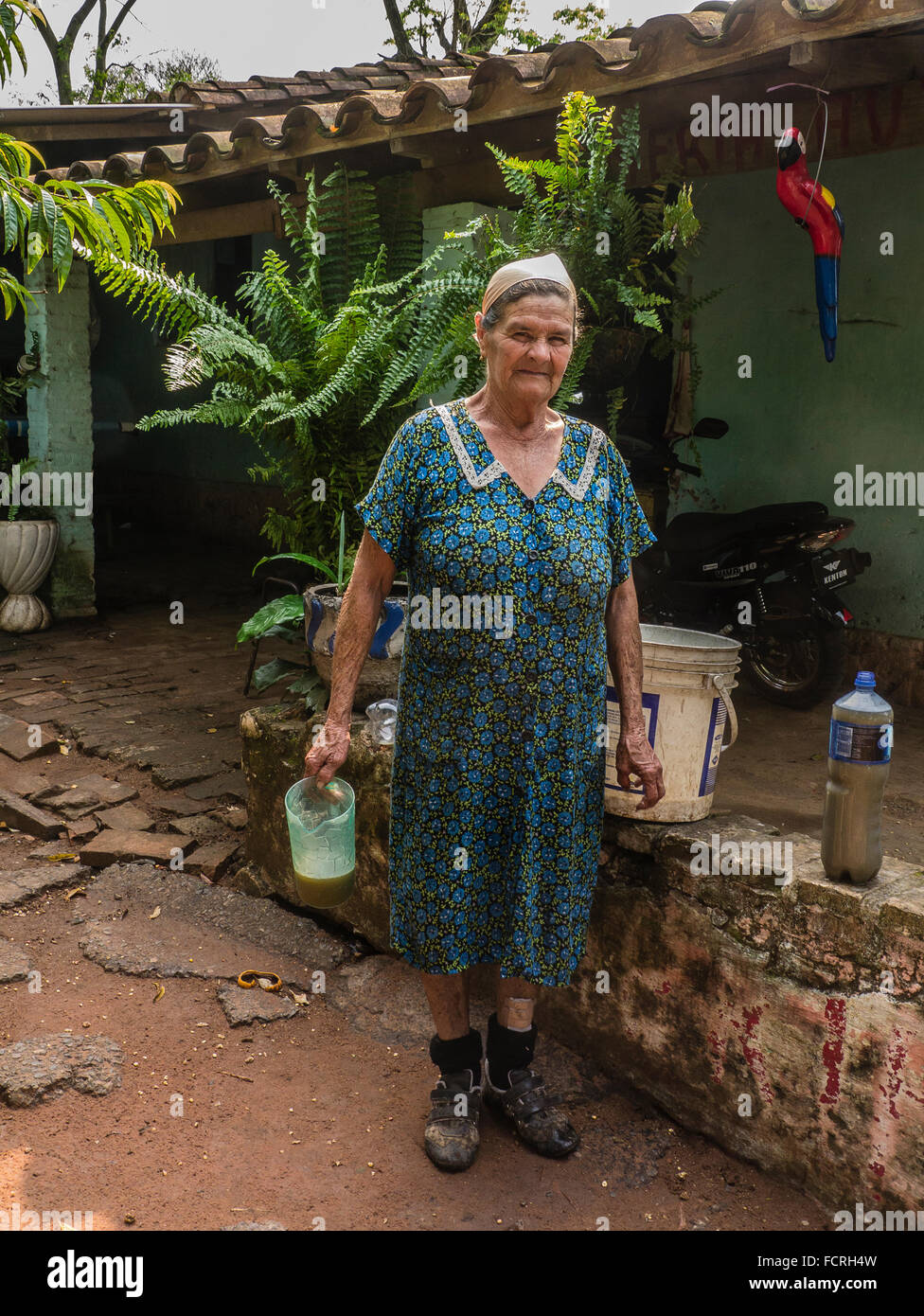 Un vieillard productrice au Paraguay qui produit mosto helado, une boisson locale à base de jus de canne à sucre. Banque D'Images