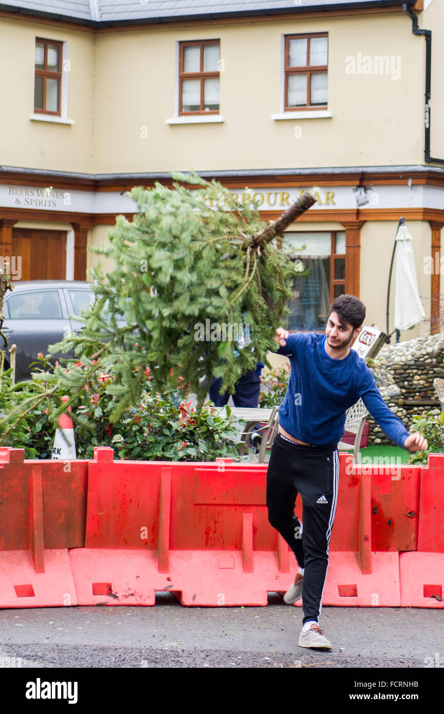 Leap, West Cork, Irlande. 24 janvier, 2016. Un arbre de Noël lancer concours est organisé chaque année en saut. Matthew O'Neill, du Leap, jette un arbre pendant la compétition. Credit : Andy Gibson/Alamy Live News Banque D'Images