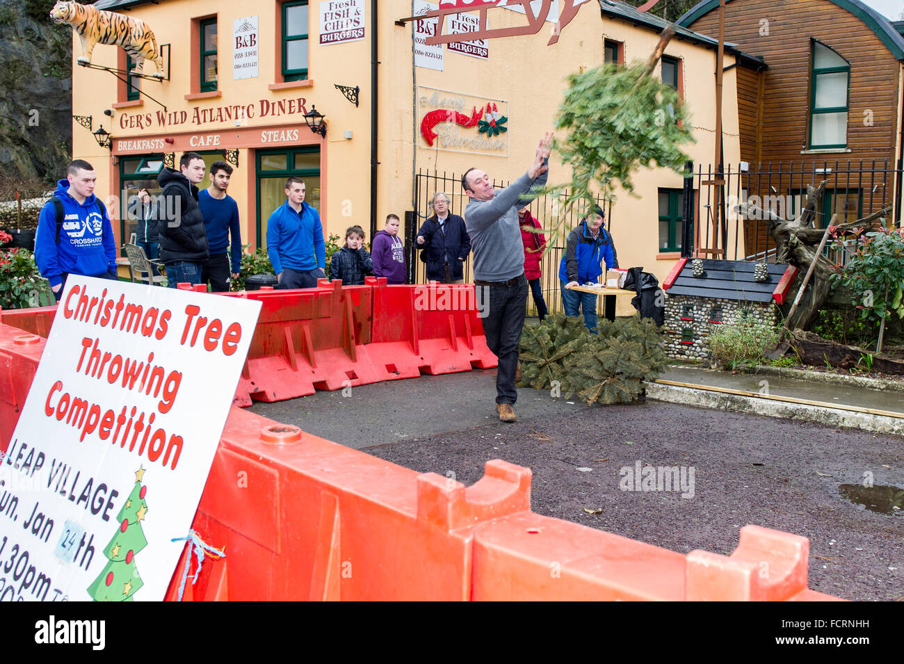 Leap, West Cork, Irlande. 24 janvier, 2016. Un arbre de Noël lancer concours est organisé chaque année en saut. Peter Crowley, du Leap, jette un arbre pendant la compétition. Credit : Andy Gibson/Alamy Live News Banque D'Images