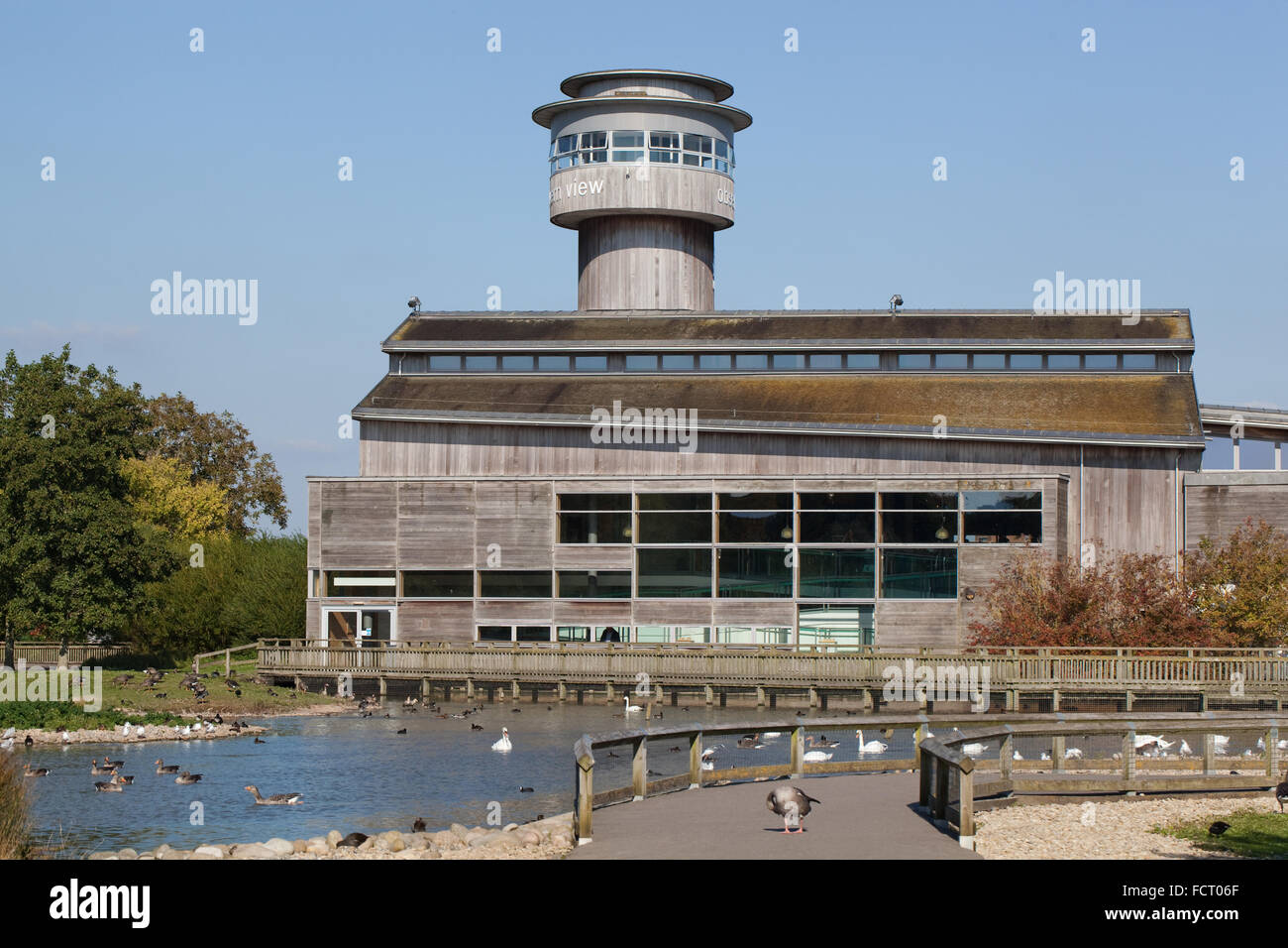 Wildfowl and Wetlands Trust, Centre d'accueil. Slimbridge. Le Gloucestershire. L'Angleterre. L'Administration centrale. Banque D'Images