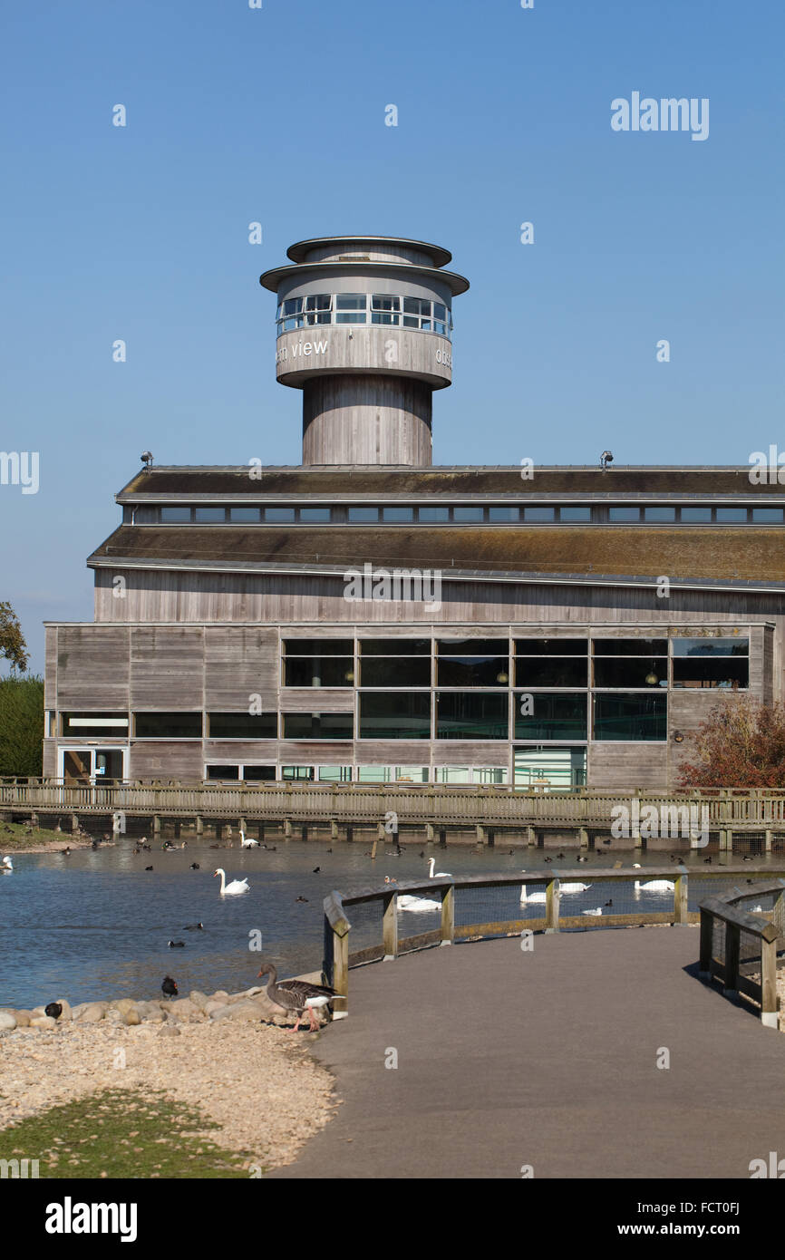 Wildfowl and Wetlands Trust, Centre d'accueil. Slimbridge. Le Gloucestershire. L'Angleterre. L'Administration centrale. Banque D'Images