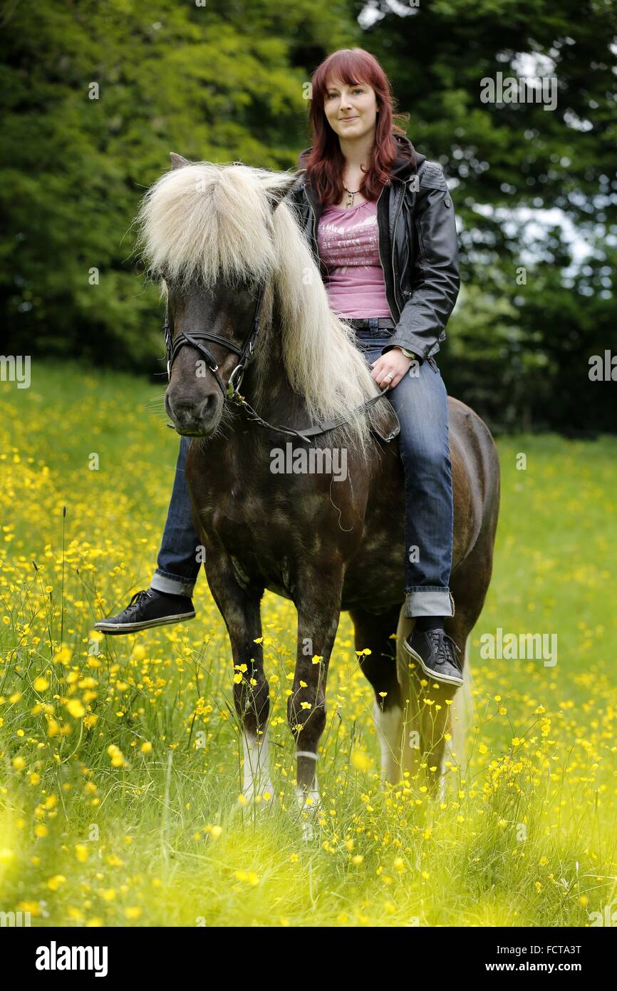 Des promenades en cheval islandais femme Banque D'Images