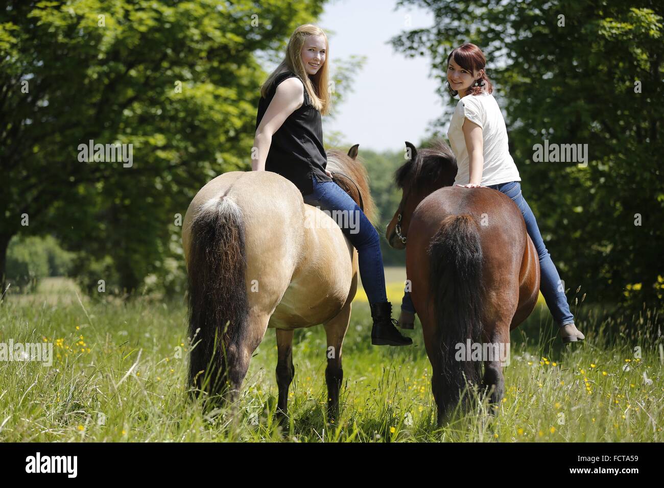 Les femmes des manèges chevaux Islandais Banque D'Images