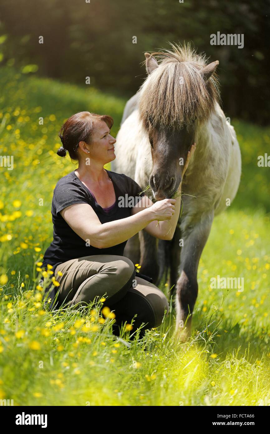 Femme et cheval islandais Banque D'Images