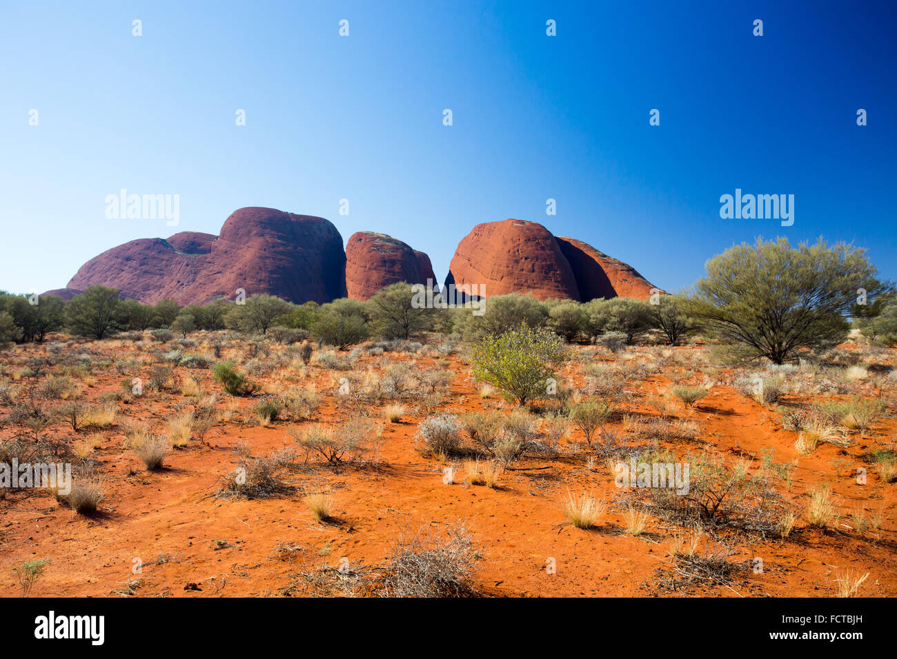 Les Olgas près de la Vallée des vents à pied dans le Territoire du Nord, Australie Banque D'Images