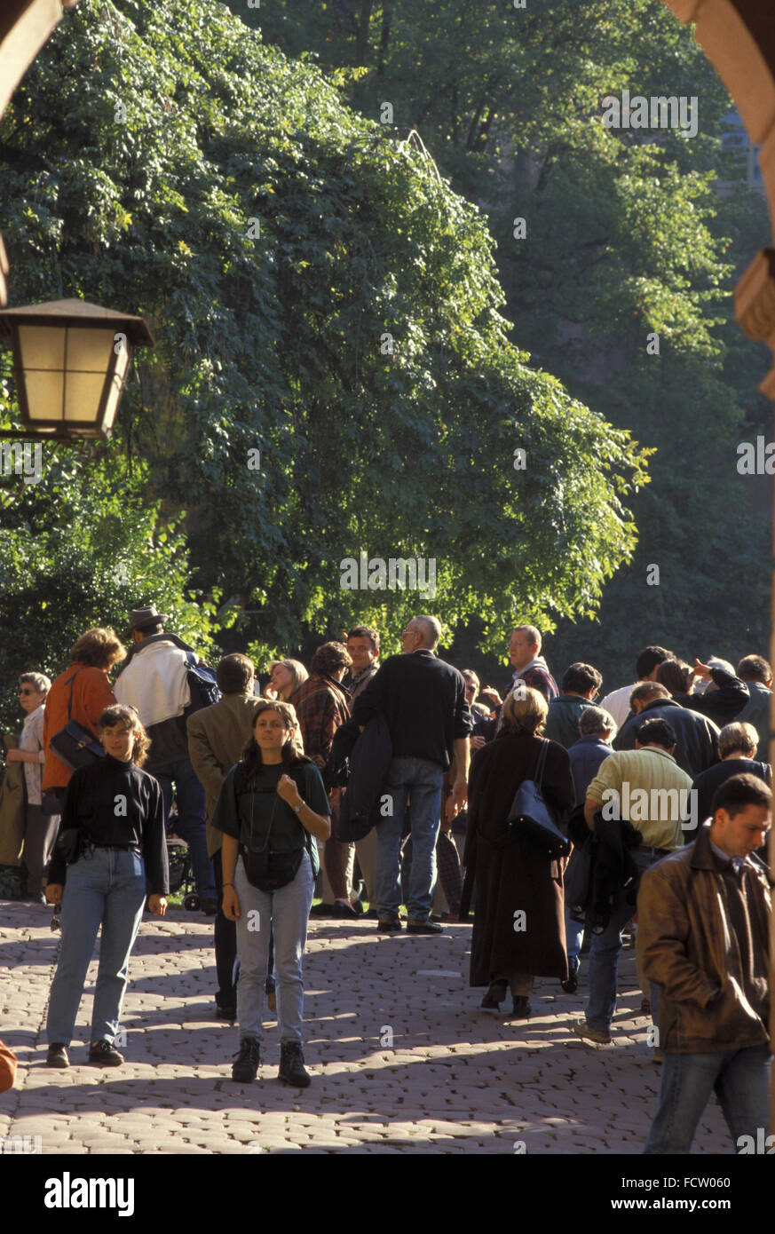 DEU, Allemagne, Heidelberg, les visiteurs dans le château. DEU, Deutschland, Heidelberg, Besucher am Schloss. Banque D'Images