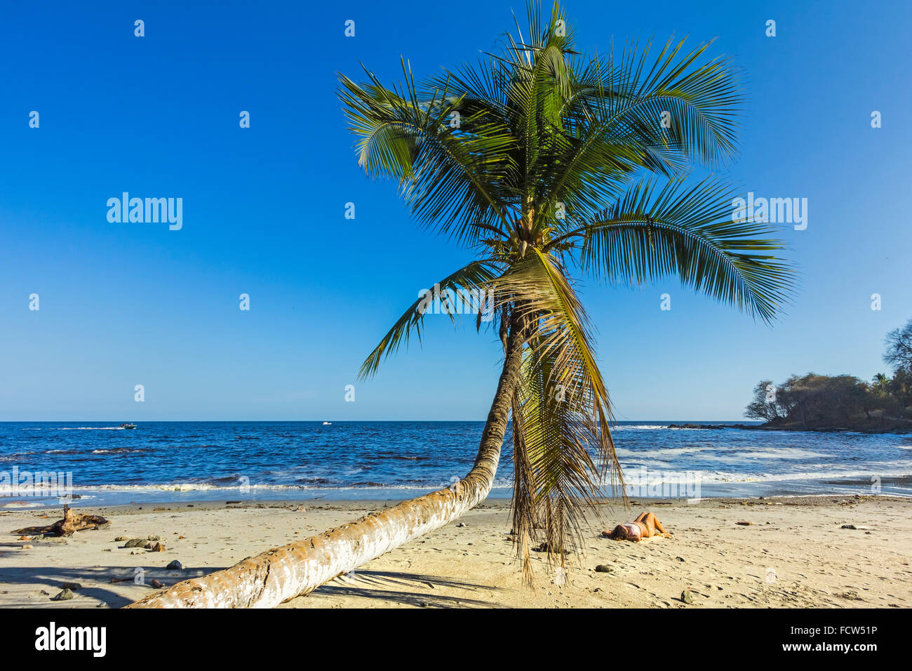Se penchant sur la plage de palmiers de cette ville funky resort à Péninsule de Nicoya's south pointe orientale ; Montezuma, Puntarenas, Costa Rica Banque D'Images