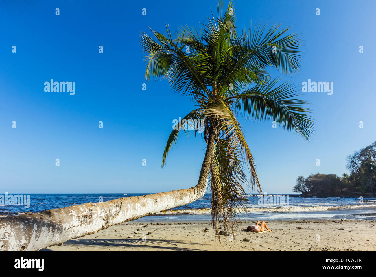Se penchant sur la plage de palmiers de cette ville funky resort à Péninsule de Nicoya's south pointe orientale ; Montezuma, Puntarenas, Costa Rica Banque D'Images