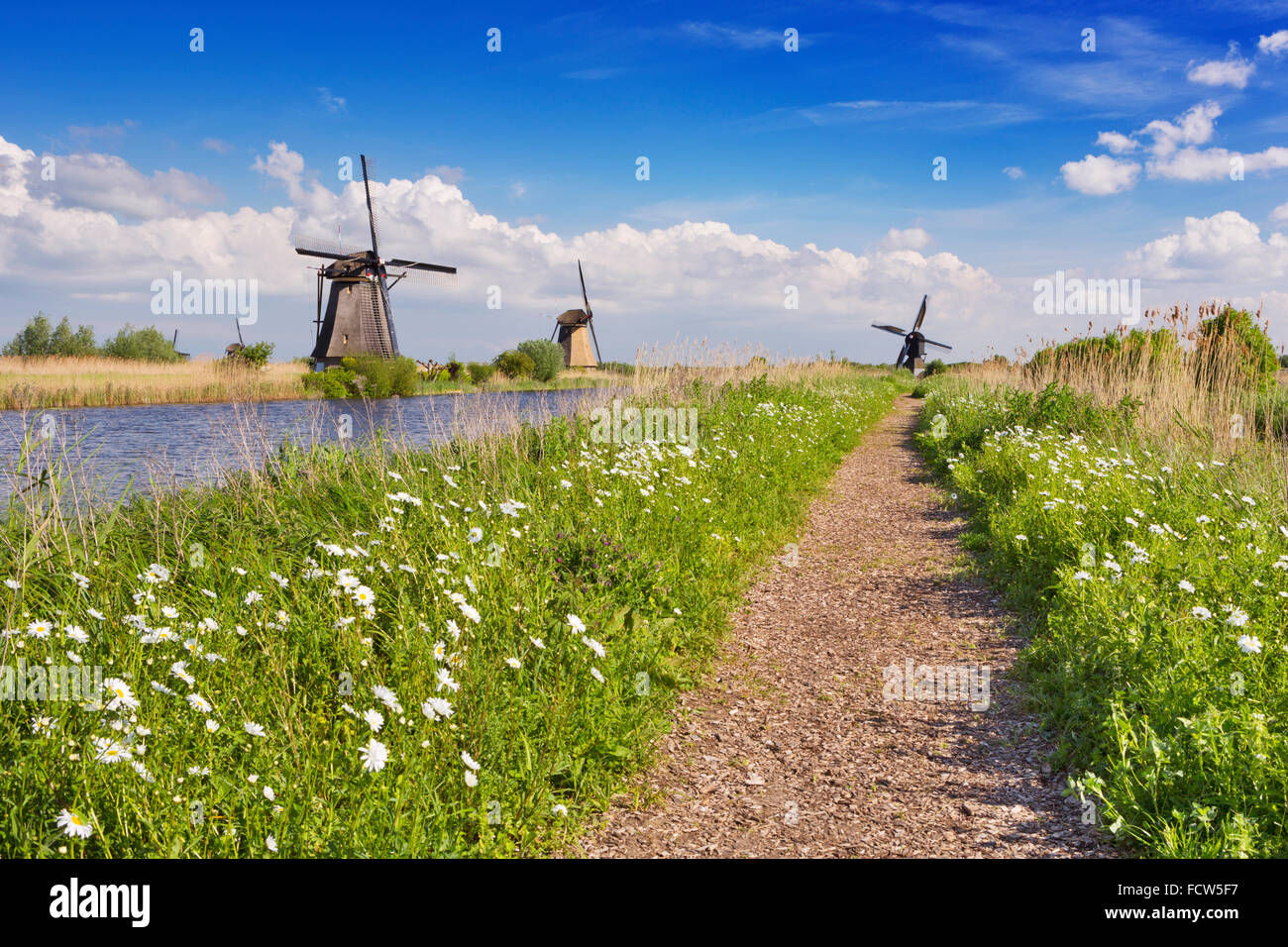 Un chemin le long des moulins à vent traditionnel néerlandais sur une journée ensoleillée à la Kinderdijk aux Pays-Bas. Banque D'Images