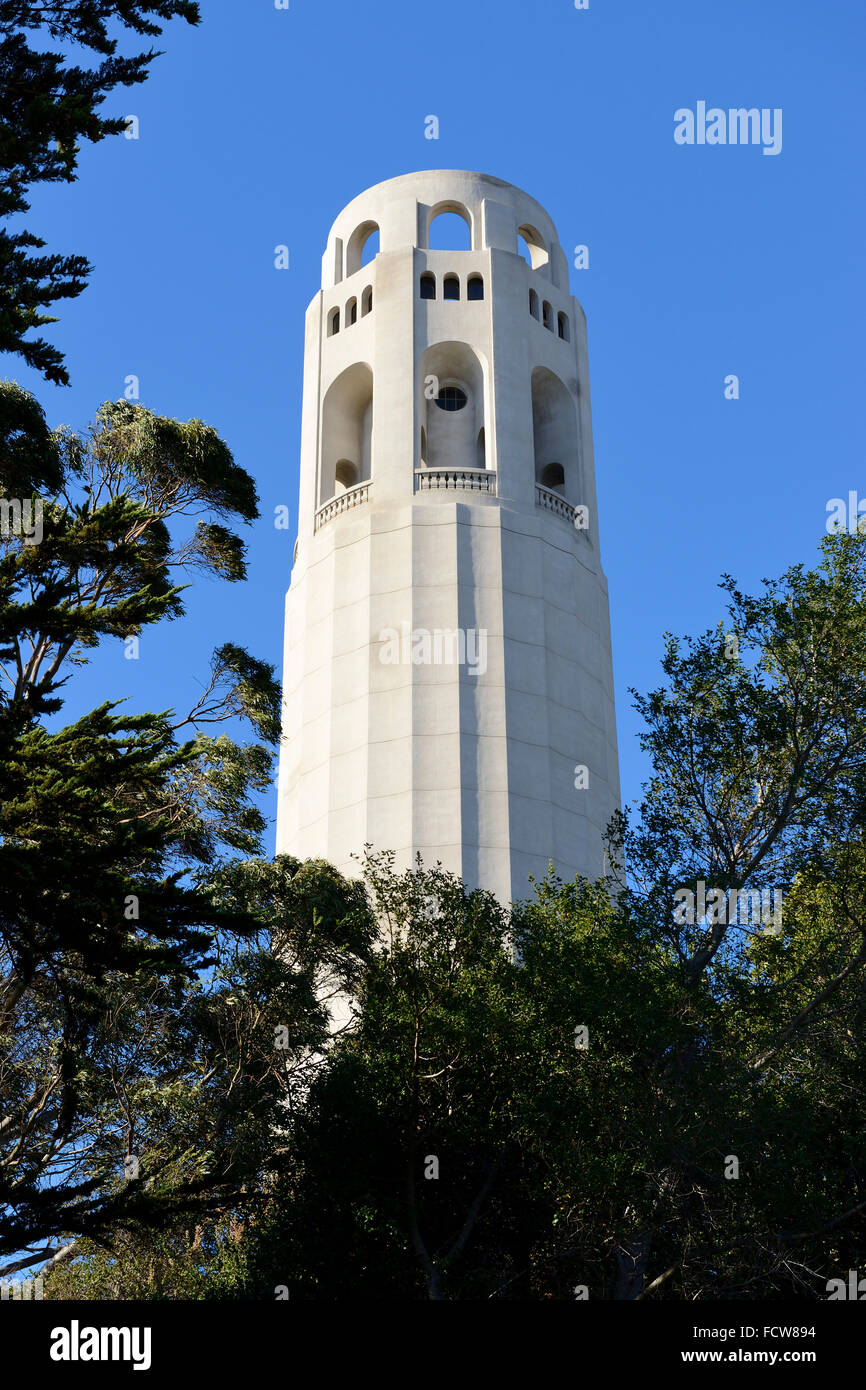 La Coit Tower sur Telegraph Hill, San Francisco, California, USA Banque D'Images