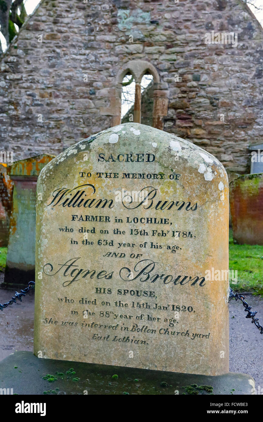 Alloway, l'Ayrshire, UK. 25 Jan, 2016. Pour célébrer le 257th anniversaire de Robert Burns, le monde célèbre le 18e siècle Scot Bard, son chalet à Alloway dans Ayrshire a été décoré pour ressembler à un cadeau d'anniversaire. Le chalet, Alloway cimetière et près de musée sont les principales attractions touristiques et au cours de l'anniversaire, événements spéciaux et 'Burns Suppers' ont lieu au chalet. Credit : Findlay/Alamy Live News Banque D'Images