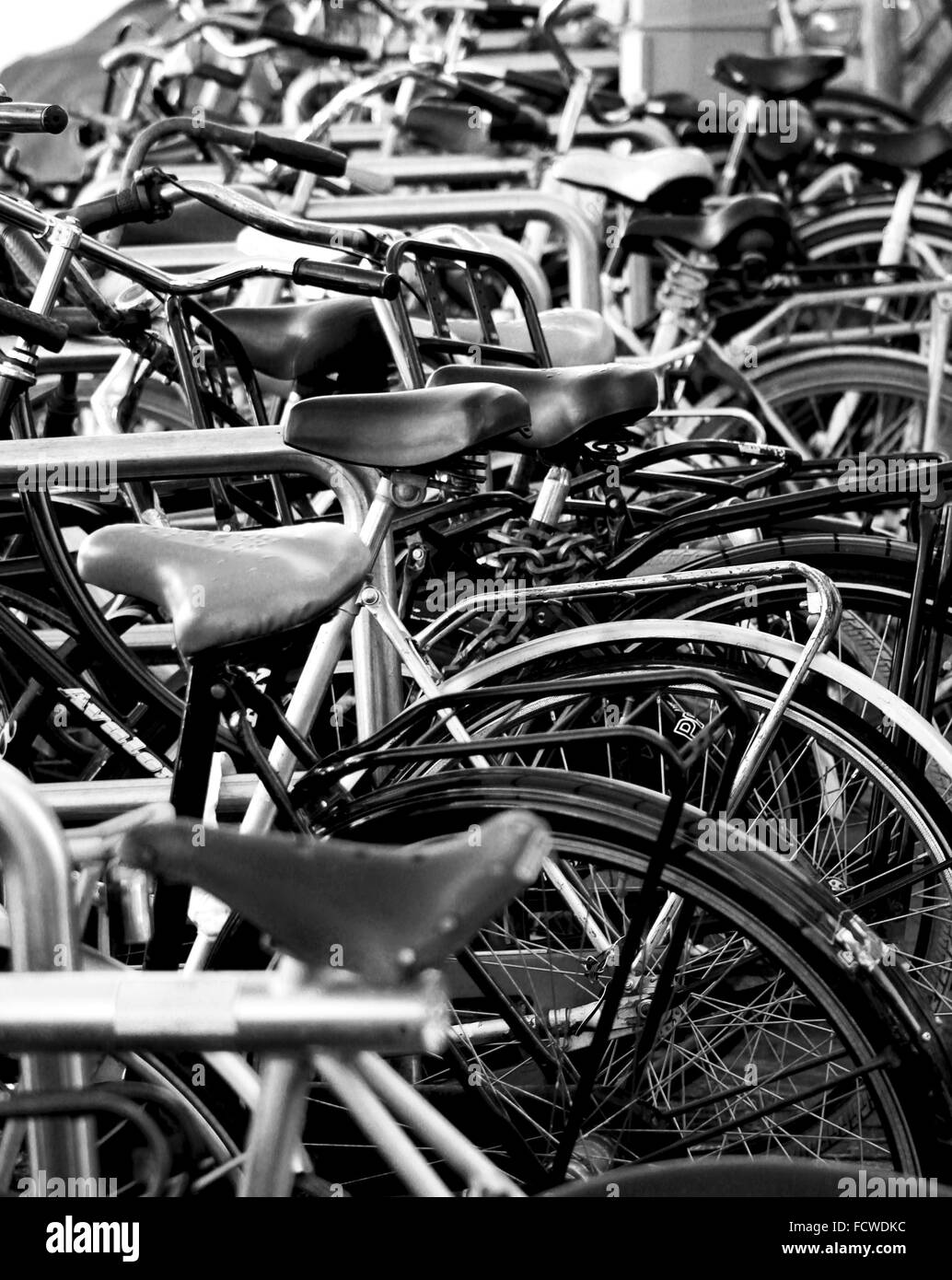 Une rangée de vélos à Amsterdam Banque D'Images