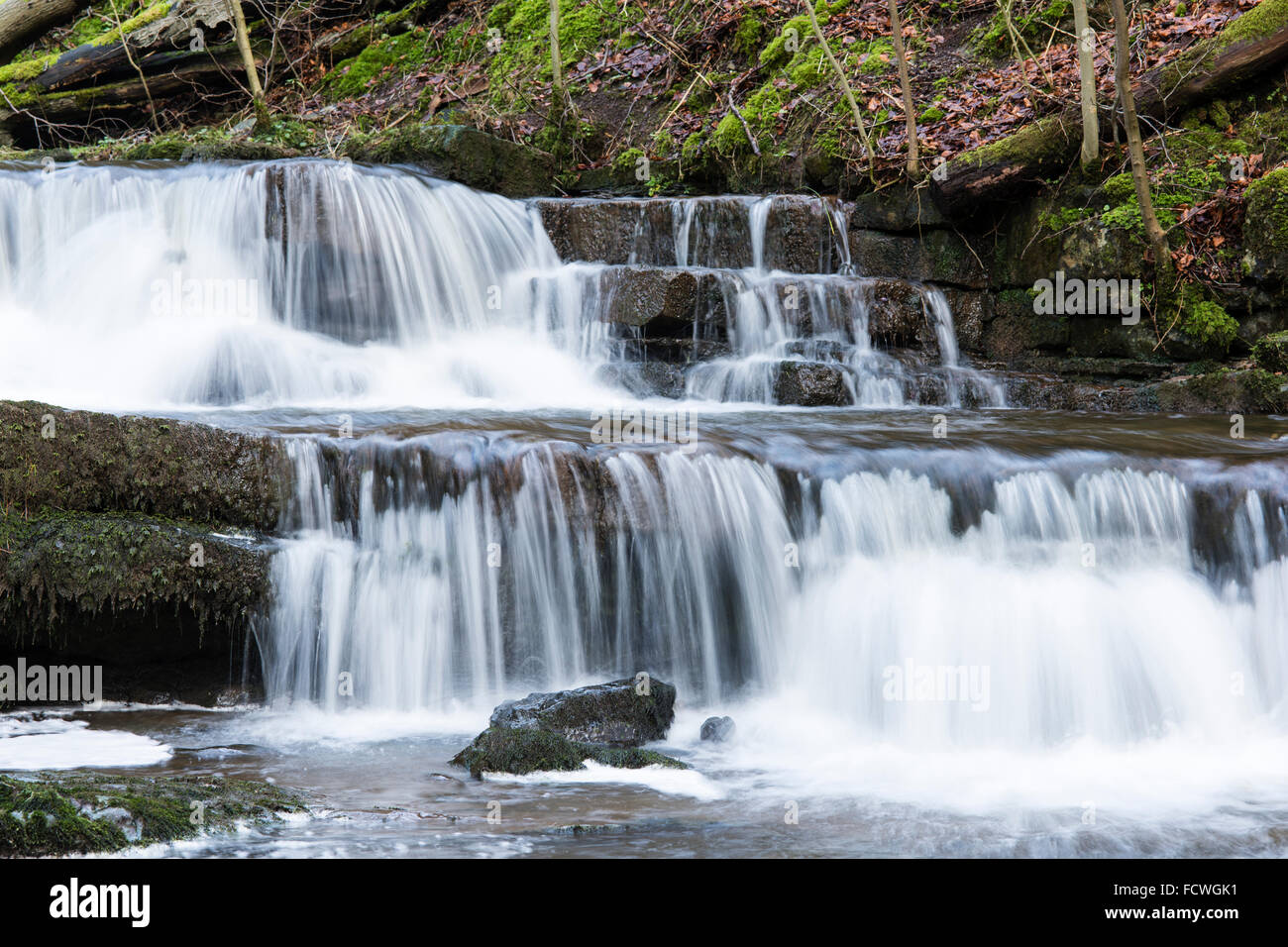 Les plans en bas de Scaleber vigueur cascade, régler, dans le Yorkshire Dales National Park, England, UK, Janvier 2016 Banque D'Images