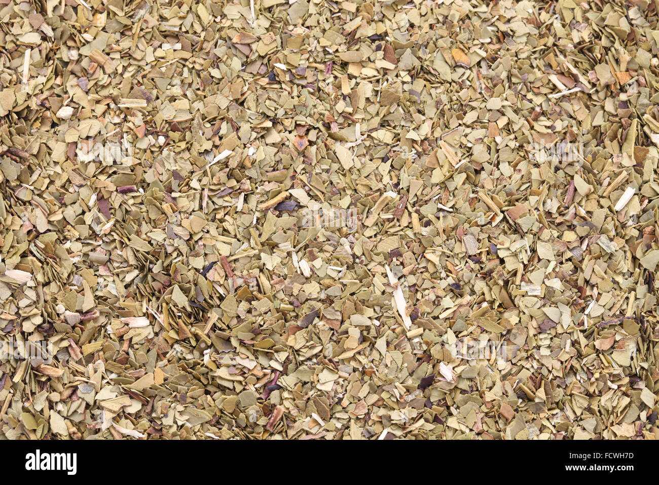 Les feuilles de thé mate torréfié, Close up shot Banque D'Images